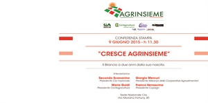 MARTEDÌ 9 GIUGNO ALLE ORE 11,30 PRESSO LA SEDE NAZIONALE DELLA CIA